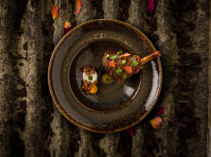 Bonna Ore Tierra Gourmet Çukur Tabak 24 cm / 400 cc
