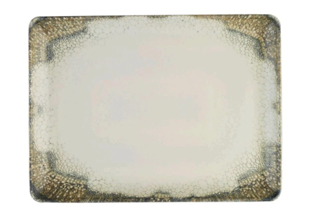 Kütahya Porselen Eye Focus Düz Tabak 27x20 cm