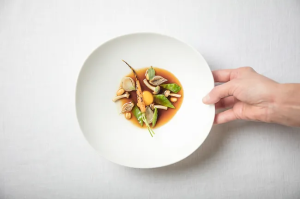 Shell Salad Sır