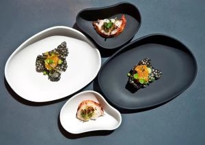 Yayoi Appetizer Beltz