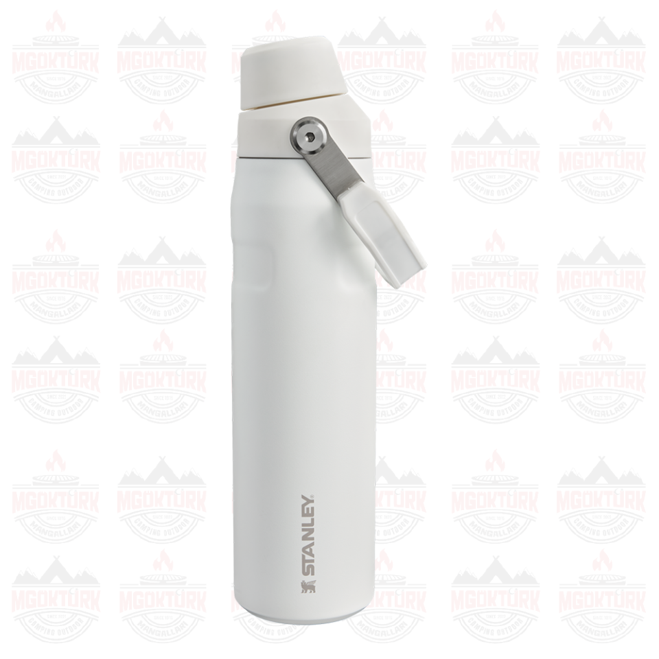 The Aerolight ™ IceFlow ™ Water Bottle Fast Flow 0.6L / 20oz  Frost 10-12515-002 / 1210001959460