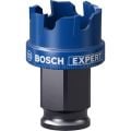 Bosch Expert Sheet Metal Delik Açma Testeresi 25 x 5 mm