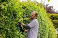 Bosch Universal HedgeCut 70 Çit Kesme Makinesi