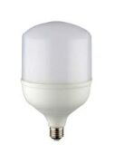 Torch Ampul (20 Watt)