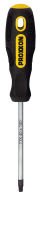PROXXON 22242 DELİKLİ TORX TORNAVİDA TX30