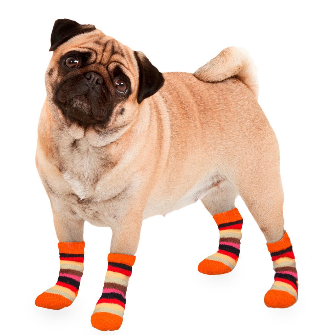 Karlie Köpek Çorabı S 2'li