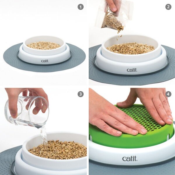 Catit Senses 2.0 Grass Planter Kedi Çimi Seti