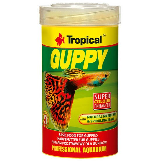 Tropical Guppy Lepistes Pul Balık Yemi 250 ml