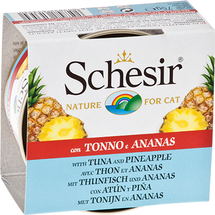 Schesir Fruit Ton Balıklı Ananaslı Kedi Konservesi 75 Gr