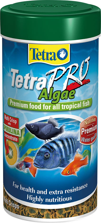 Tetra Pro Algae Crisps Bitkisel Cips Balık Yemi 250 ml