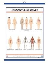 İnsanda Sistemler Levhası