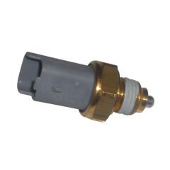 GERİ VİTES MÜŞÜRÜ P206 99-12-BRUCKE 2257.59-2257.59