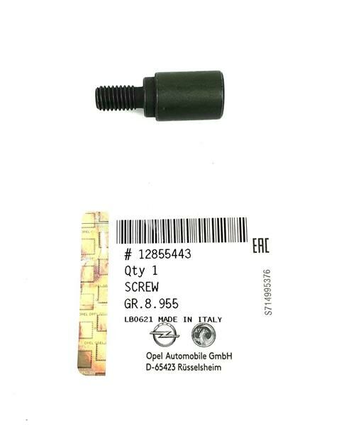 EKSANTRİK ZİNCİR SAPLAMASI ASTRA H-J- CORSA C/D/E - DOBLO-PALIO-LINEA-EGEA 2004 1.3 Z13DT-DTH-DTJ-OEK 12855443-12855443