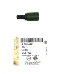 EKSANTRİK ZİNCİR SAPLAMASI ASTRA H-J- CORSA C/D/E - DOBLO-PALIO-LINEA-EGEA 2004 1.3 Z13DT-DTH-DTJ-OEK 12855443-12855443