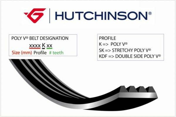 1674 K 6 KANALLI KAYIŞ P206-PARTNER-BERL 02-06 SCUDO 98-06 19D-AUDI FORD VOLVO-HUTCHINSON 6PK1674-5750.QE-5750.PY-1084993-078903137