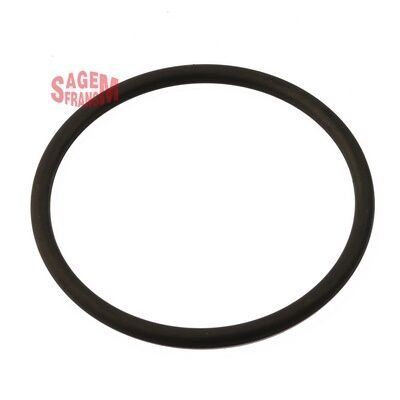 KELEBEK BOĞAZ ORING CLIO - MEGANE - LAGUNA İNCE-SAGEM 210101-8200068566
