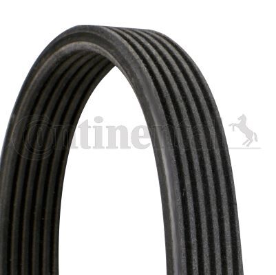 KANALLI KAYIŞ VOLVO C70 S60 S70 S80 V70 V70XC XC70 XC90 68431D-CONTI 6DPK1825-30731811