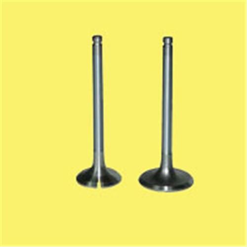 EMME EGZOZ SUBAP TAKIM POLO-GOLF4-5-JETTA-PASSAT-TIGUAN AHW-BBY-BKY-BAG-BLF-BLP-BMY-BCB-CAVA-CAXA-GUNES 6014-6015-036109601S-036109611K