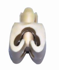 AGRAF TEKLİ R9-R11-R12-R21-R19-OKSA 100-7703079051