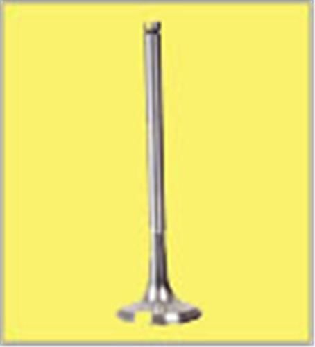 SUBAP EMME EGZOZ C3-PEUGEOT 1.4 16V DIESEL IN-8/EX-8-GUNES-0948.C4-0949.C1