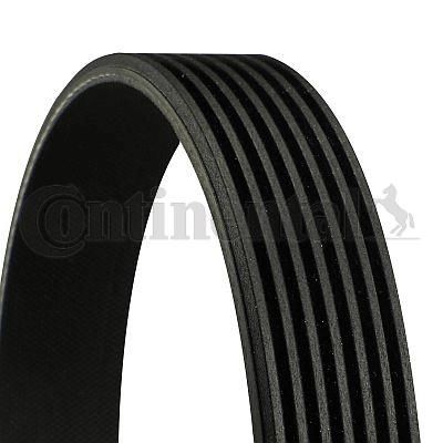 KANALLI KAYIŞ BMW X5 E70 4.8 i 07-08-CONTI 7PK1666-11287540949