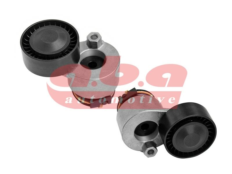 ALTERNATÖR GERGİ RULMANI KÜTÜKLÜ CLIO II 01 06 MEGANE II 02 08 KANGOO 01 1.4 K4J 1.5 DCI K9K 1.6 K4M-ABA 25205592-1195500QAG-11955BN701-8200048486
