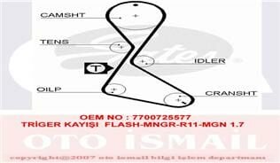 TRİGER KAYIŞI 125x190 FLASH-MNGR-R11-MGN 1.7 GD125H9-5P190 CT684-GATES 5130XS-7700725577