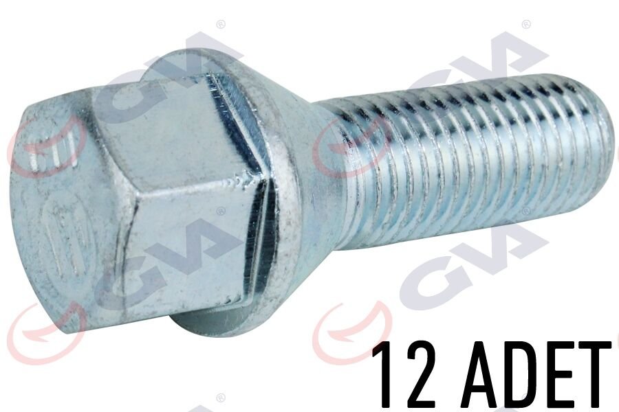 BİJON CİVATASI RENAULT MEGANE-CLIO Y.M. PAKET 12 FEBİ 49873-GVA 8810124-8200473355
