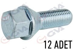 BİJON CİVATASI RENAULT MEGANE-CLIO Y.M. PAKET 12 FEBİ 49873-GVA 8810124-8200473355