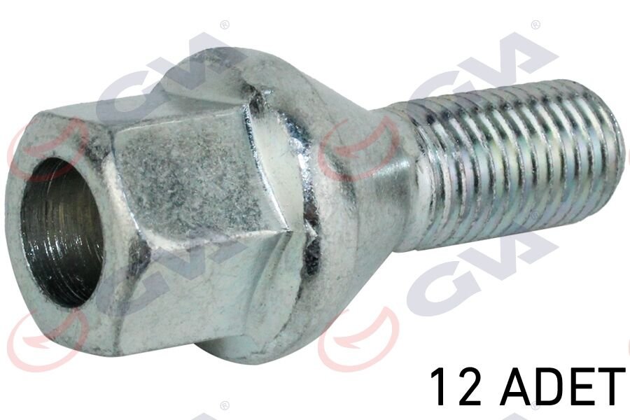 BİJON CİVATASI RENAULT MEGANE-CLIO Y.M. DELİKLİ TİP PAKET 12-GVA 8810126-8200473353