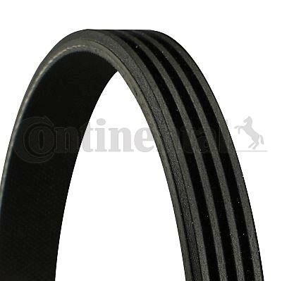 KANALLI KAYIŞ TEMPRA TIPO-CLIO 1.2 00 KNG TWNG-CONTI 4PK925-8200830190-9936400920-1192058S01