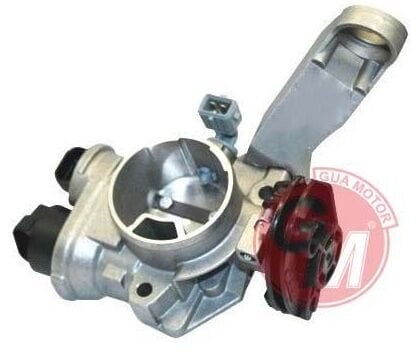 KELEBEK BOĞAZI RENAULT CLIO II KANGOO II 1.2 16 VALF-GUA 41219-7700108120