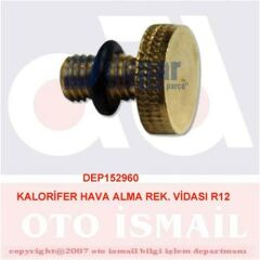 KALORİFER HAVA ALMA REK. VİDASI R12-DEPAR 2960