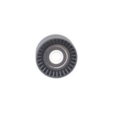 ALTERNATÖR GERGİ RULMANI MASTER 2.8-BEMOT 70125