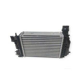 TURBO RADYATÖRÜ INTERCOOLER RENAULT CLIO V 19 1.0TCE NISSAN MICRA V 18 BRAZING 255x217x50-MY 144966668R-144966668R