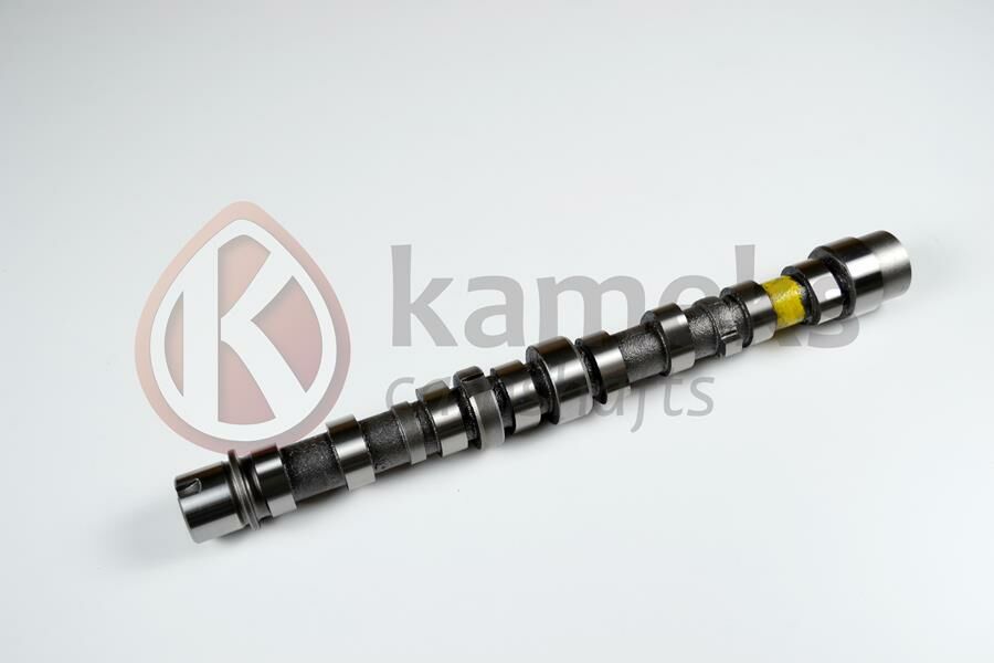 EKSANTRİK MİLİ EMME BIPPER 10 NEMO 10 DOBLO 10 EGEA 16 PUNTO 12 500 L 12 95BG 1.3 JTD EURO5 DÖKÜM-KAMEKS 10412-55206897