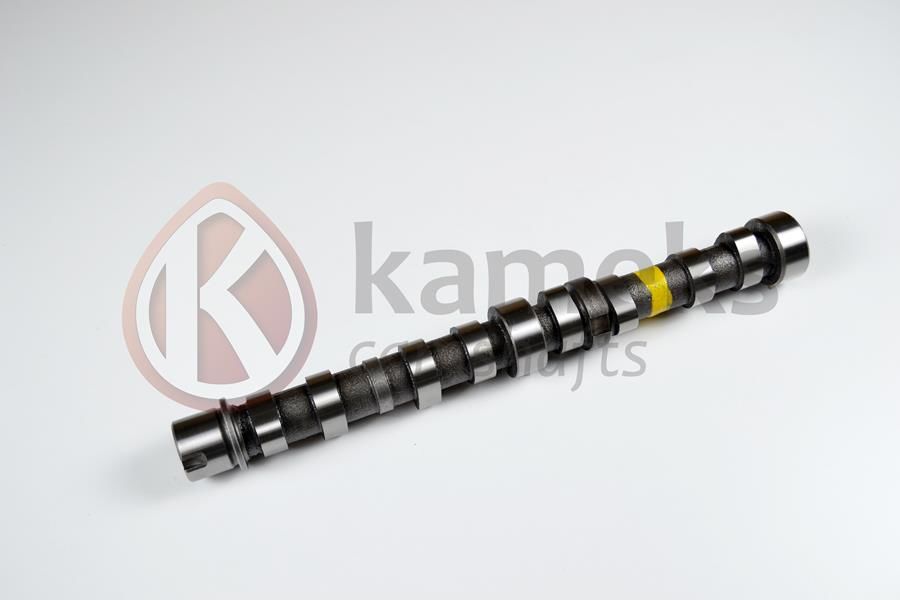 EKSANTRİK MİLİ EGZOZ BIPPER 10 NEMO 10 DOBLO 10 EGEA 16 PUNTO 12 500 L 12 95BG 1.3 JTD EURO5 DOKUM-KAMEKS 10413-55206898