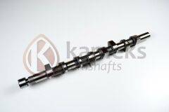 EKSANTRIK MILI MEGANE I 97 01 MEGANE II 02 08 LAGUNA I 97 02 LAGUNA II 02 07 -TRAFIC II 06 MASTER I 01 1.9 DCI F9Q DÖKÜM-KAMEKS 10501-8200084742
