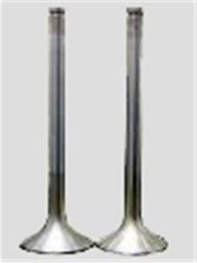 SUBAP EMME EGZOZ R12 1300-SUPSAN-7700561318-7799560792