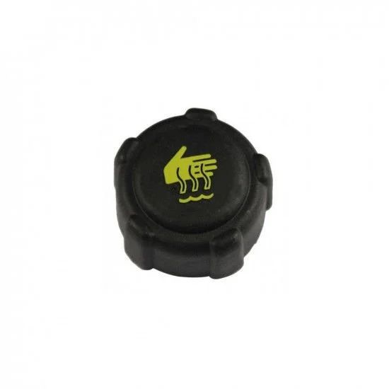 RADYATÖR EK DEPO KAPAK LOGAN-SANDERO-DUSTER-ALPER 303021-8200048024