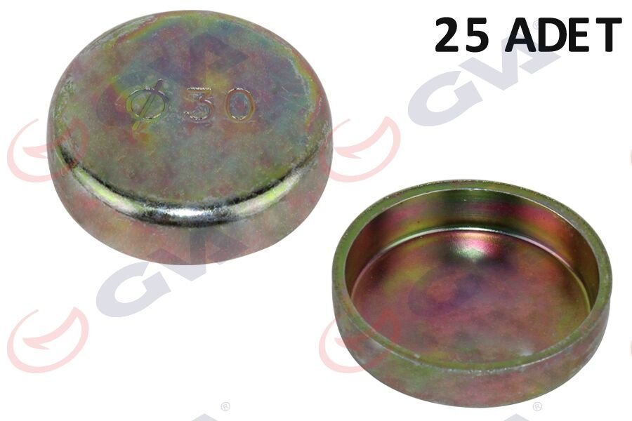 MOTOR BLOK SU TAPASI 30 mm RENAULT UNİVERSAL PAKET 25-GVA 8915211