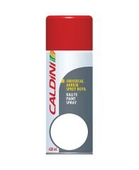 RADYATOR ICI TEMIZLEME EKSTRA 750 ml.-CALDINI CLN-03224