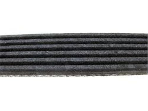 KANALLI KAYIŞ BOXER 2.5-JUMPY 1.6-SOLENZA-SCUDO-DUCATO 2.5-ASTRA F-CORSA B-CLIO I-II-KNG-CORDOBA-BANDO 6PK0895-128035