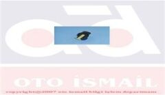 TEVZİ MAKARASI R11 FLASH 1.7 ORJ.ÜRÜN-TPART 31204-7700727261-7701029972