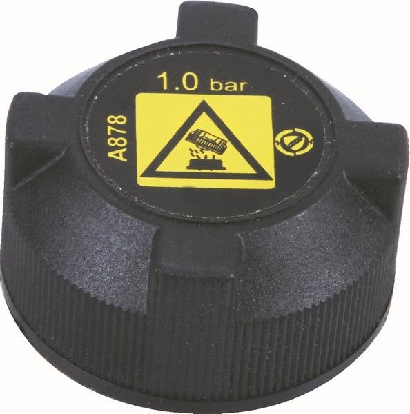 RADYATÖR KAPAĞI DUCATO-BOXER-JUMPER 1306.F3-WPI 8339847-1306.F3