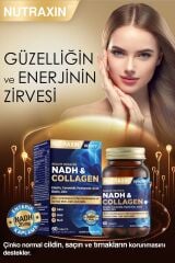 Nutraxin Nadh Collagen 60 Tablet