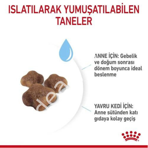 Royal Canin Mother&Babycat Yavru Kedi Maması 4 kg