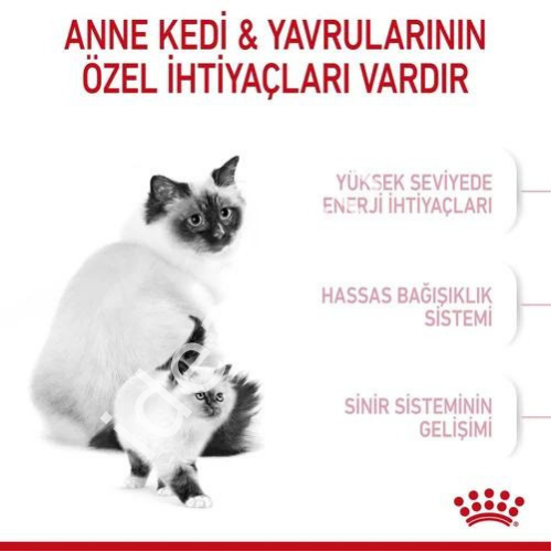 Royal Canin Mother&Babycat Yavru Kedi Maması 4 kg