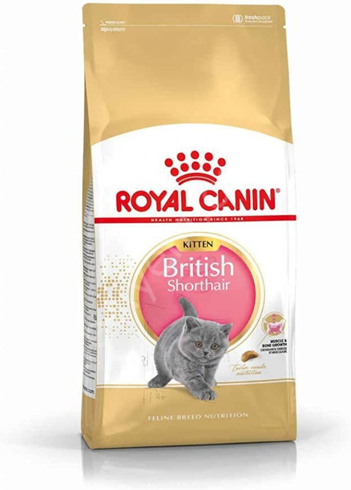 Royal Canin Kitten British Shorthair Yavru Kedi Maması 2 kg