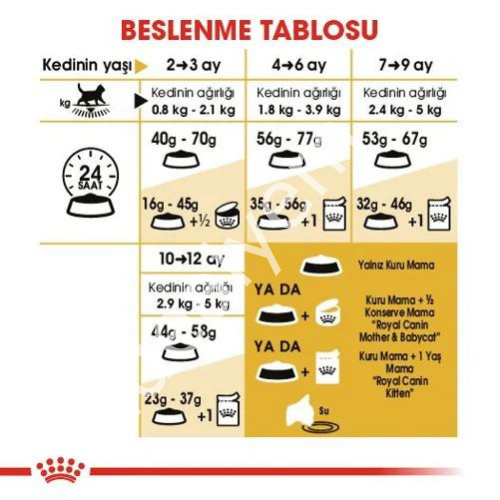 Royal Canin Kitten British Shorthair Yavru Kedi Maması 2 kg